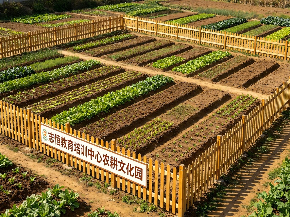 宜春叛逆孩子管教学校选择指南：找到真正靠谱的成长转折点